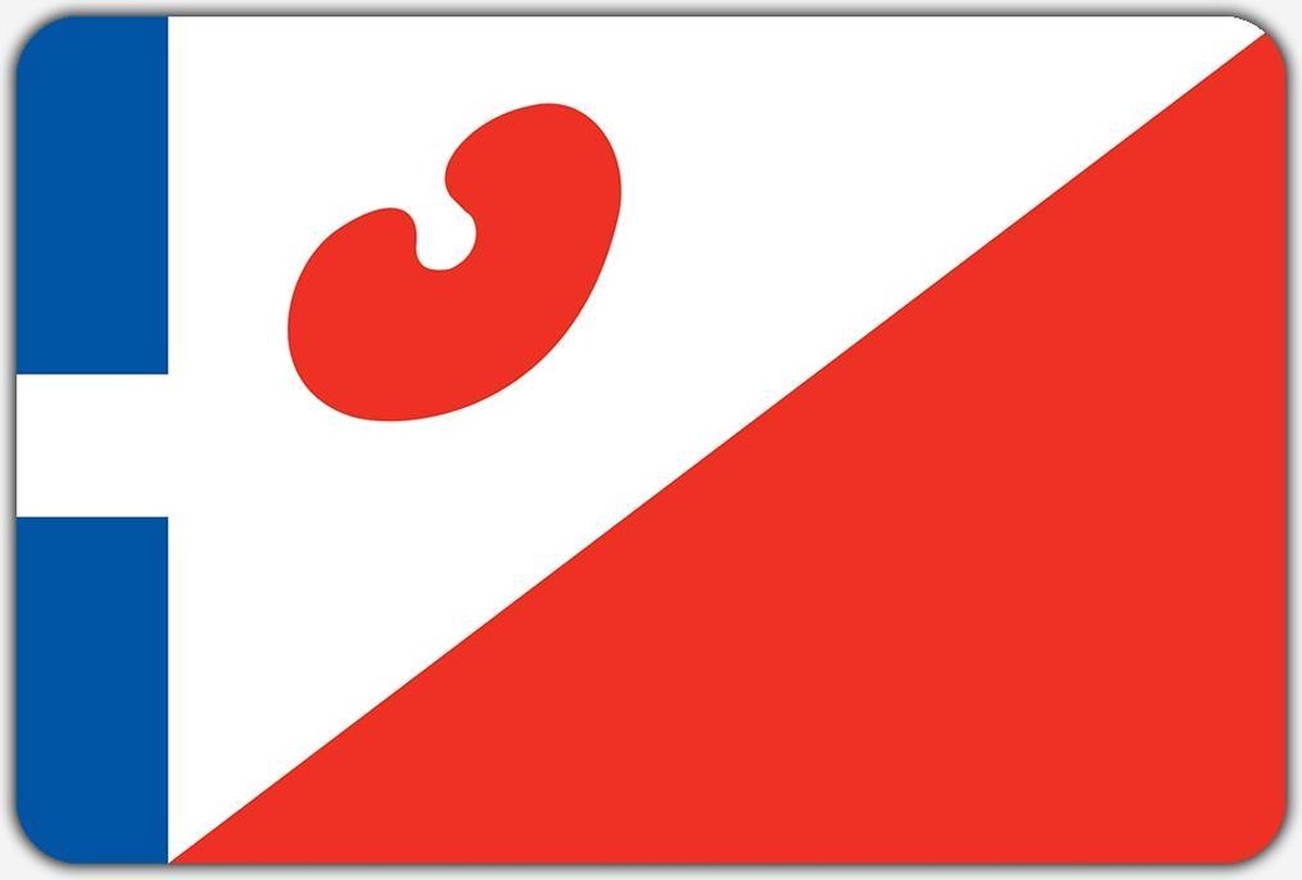 Vlag Allingawier - 200 x 300 cm - Polyester