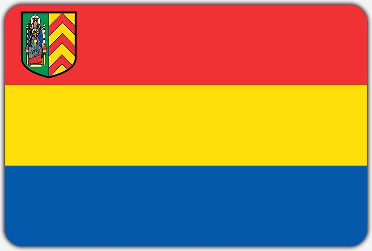 Vlag Bathmen - 150 x 225 cm - Polyester