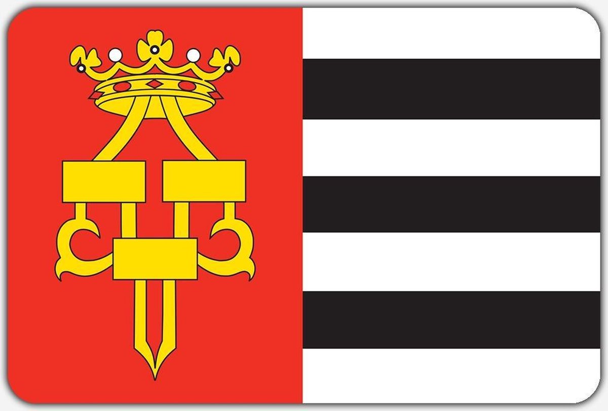 Vlag Drachten - 70 x 100 cm - Polyester