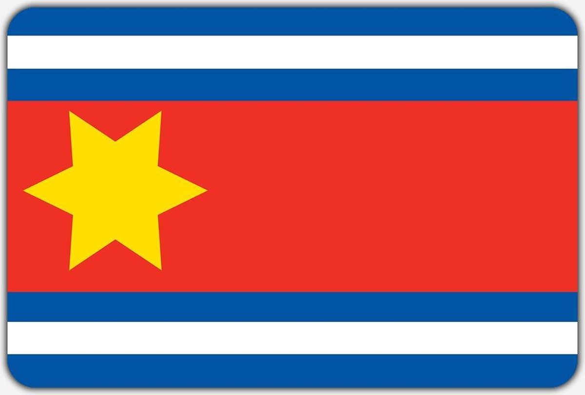 Vlag Eenrum - 200 x 300 cm - Polyester