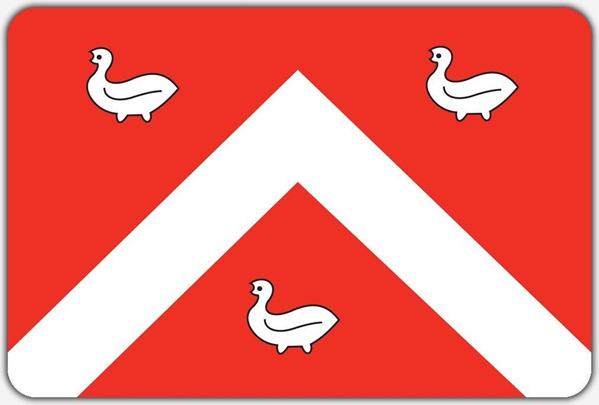 Vlag Ens - 200 x 300 cm - Polyester