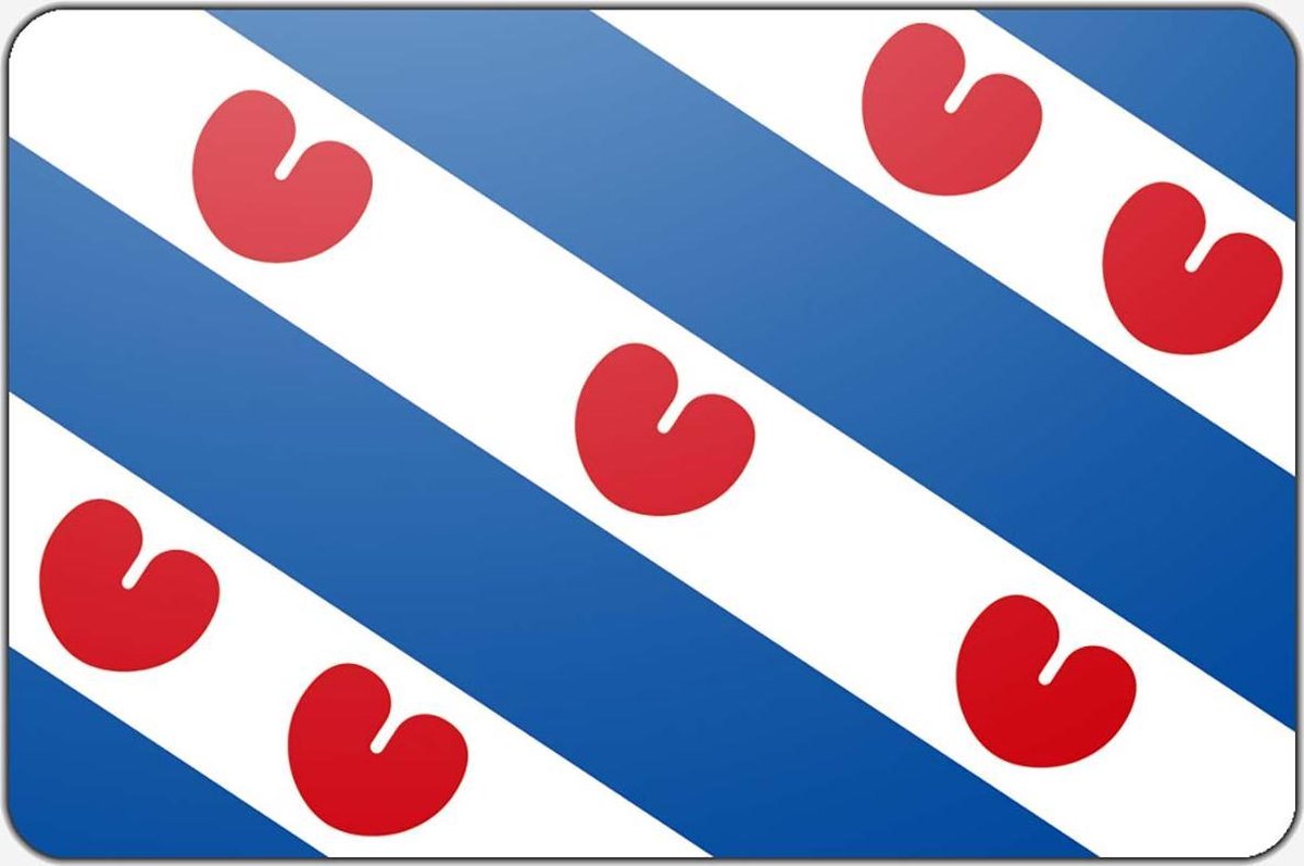 Vlag Friesland - 100 x 150 cm - Polyester