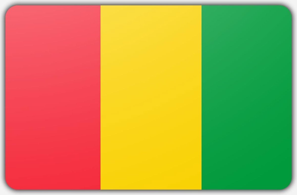 Vlag Guinee (rep.) - 200 x 300 cm - Polyester