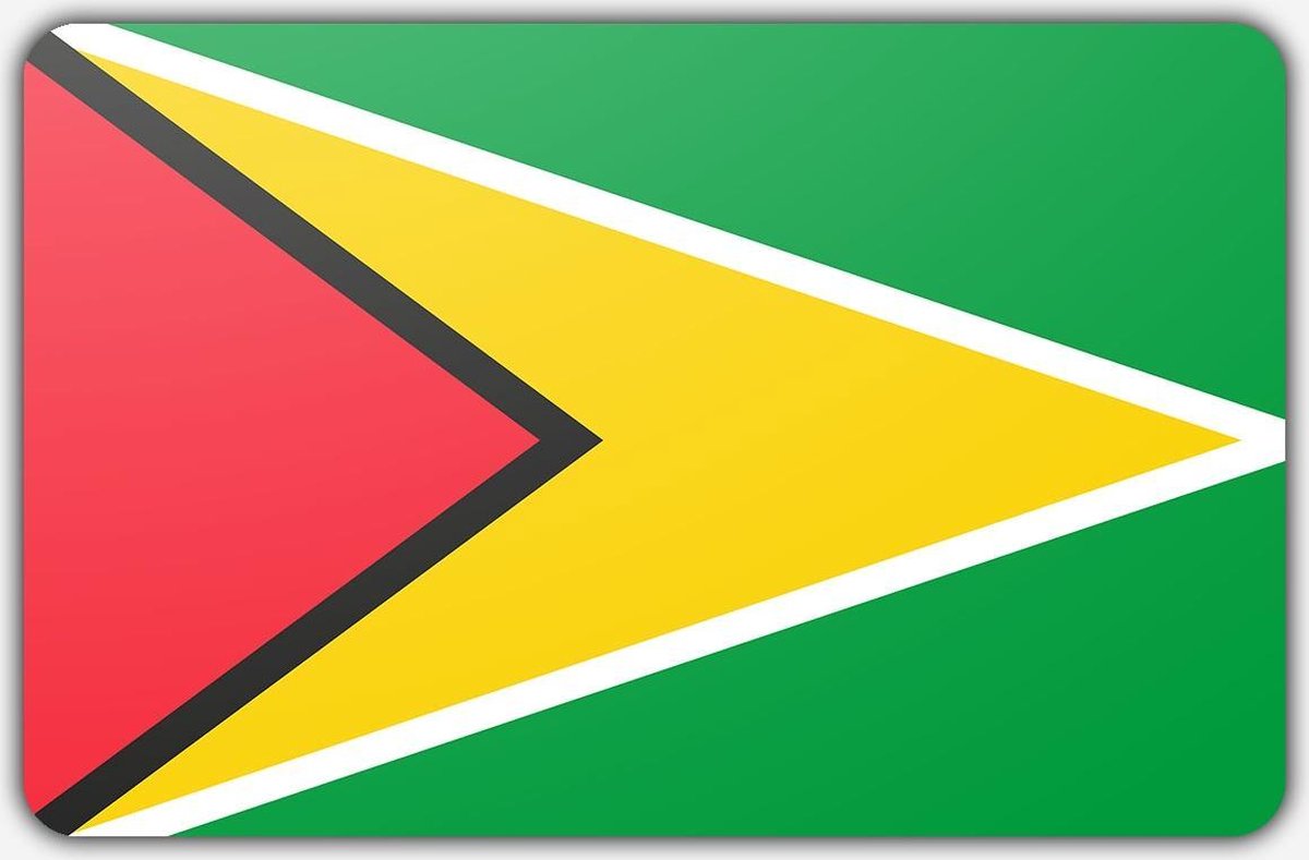 Vlag Guyana - 100 x 150 cm - Polyester