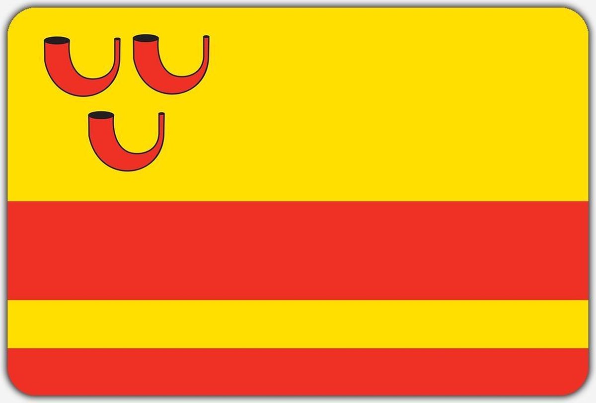 Vlag Haelen - 150 x 225 cm - Polyester