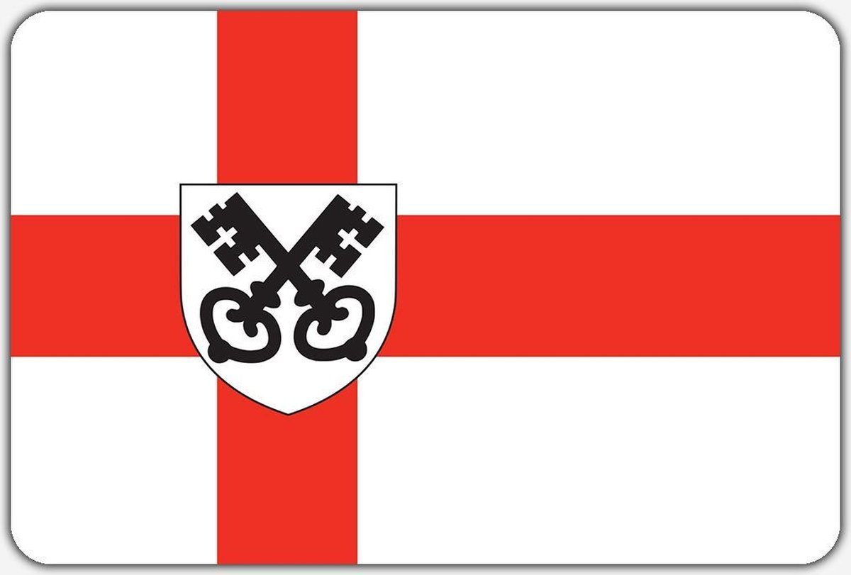 Vlag Havelte - 200 x 300 cm - Polyester