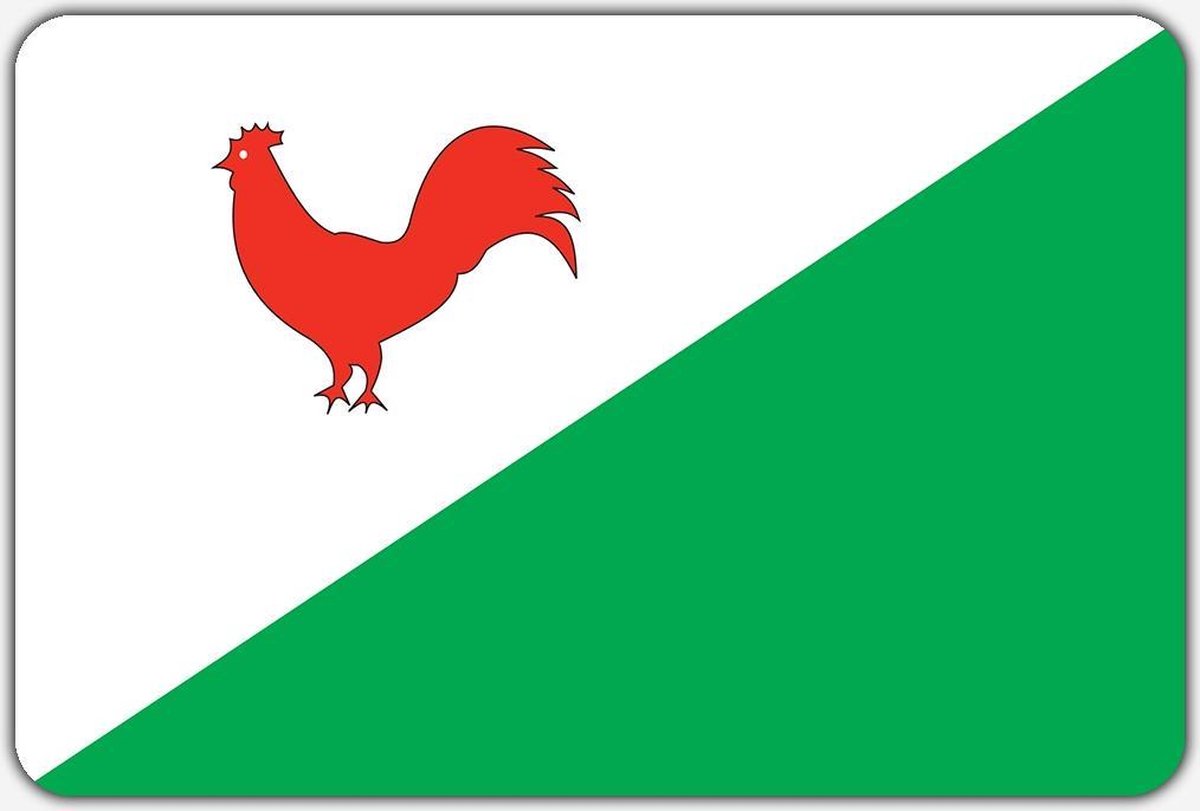 Vlag Heinkenszand - 100 x 150 cm - Polyester