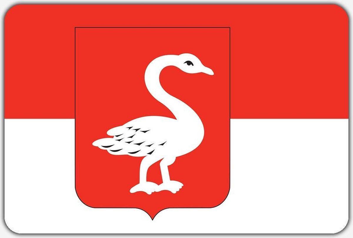 Vlag Huissen - 100 x 150 cm - Polyester