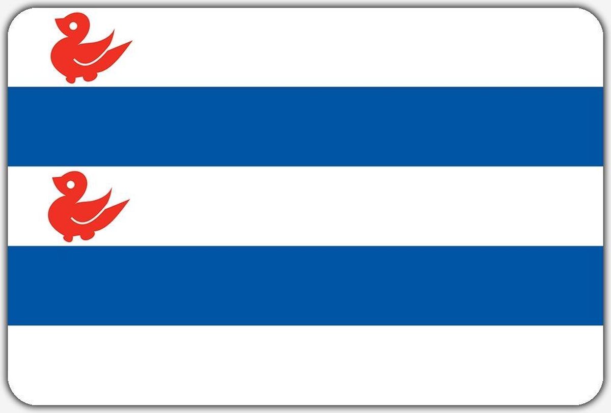 Vlag Kootstertille - 100 x 150 cm - Polyester