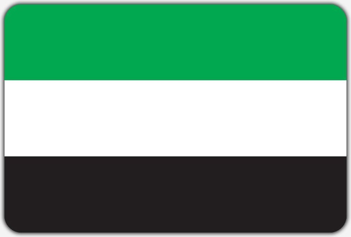 Vlag Leek - 200 x 300 cm - Polyester