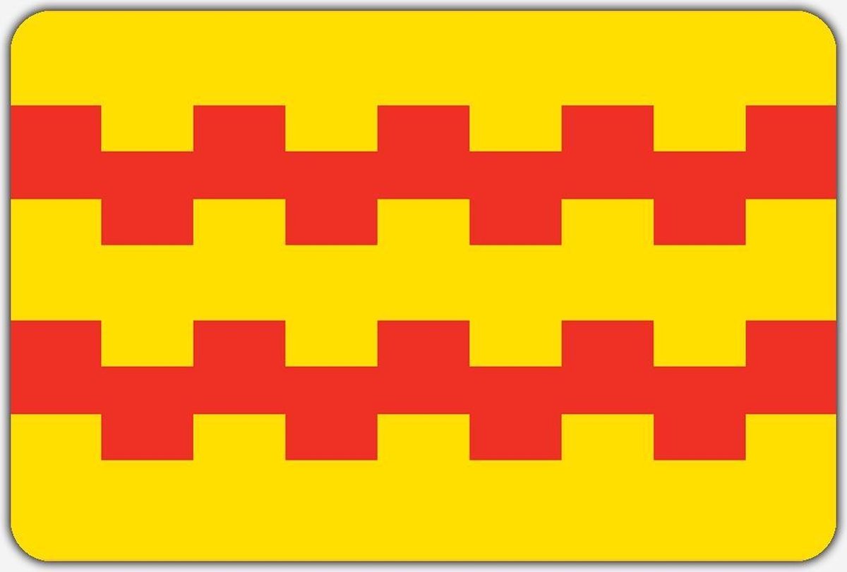 Vlag Leerdam - 100 x 150 cm - Polyester