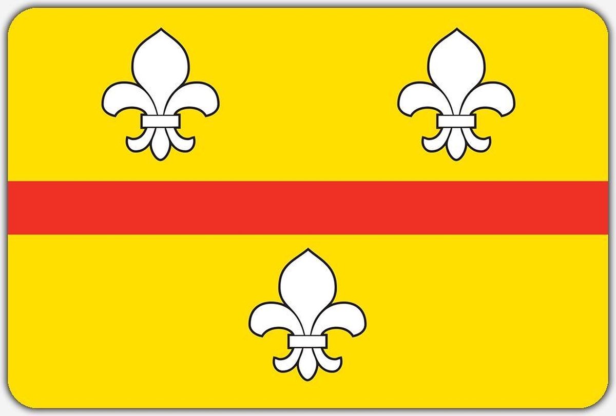 Vlag Loenen - 100 x 150 cm - Polyester