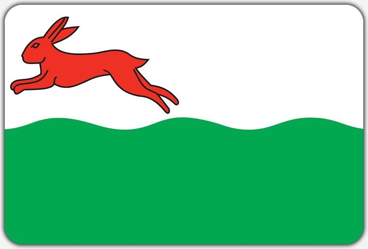 Vlag Oudehaske - 150 x 225 cm - Polyester