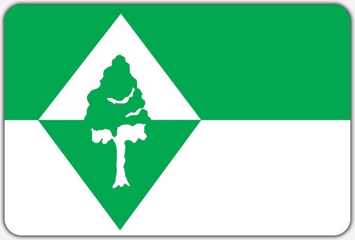 Vlag Oudenbosch - 200 x 300 cm - Polyester