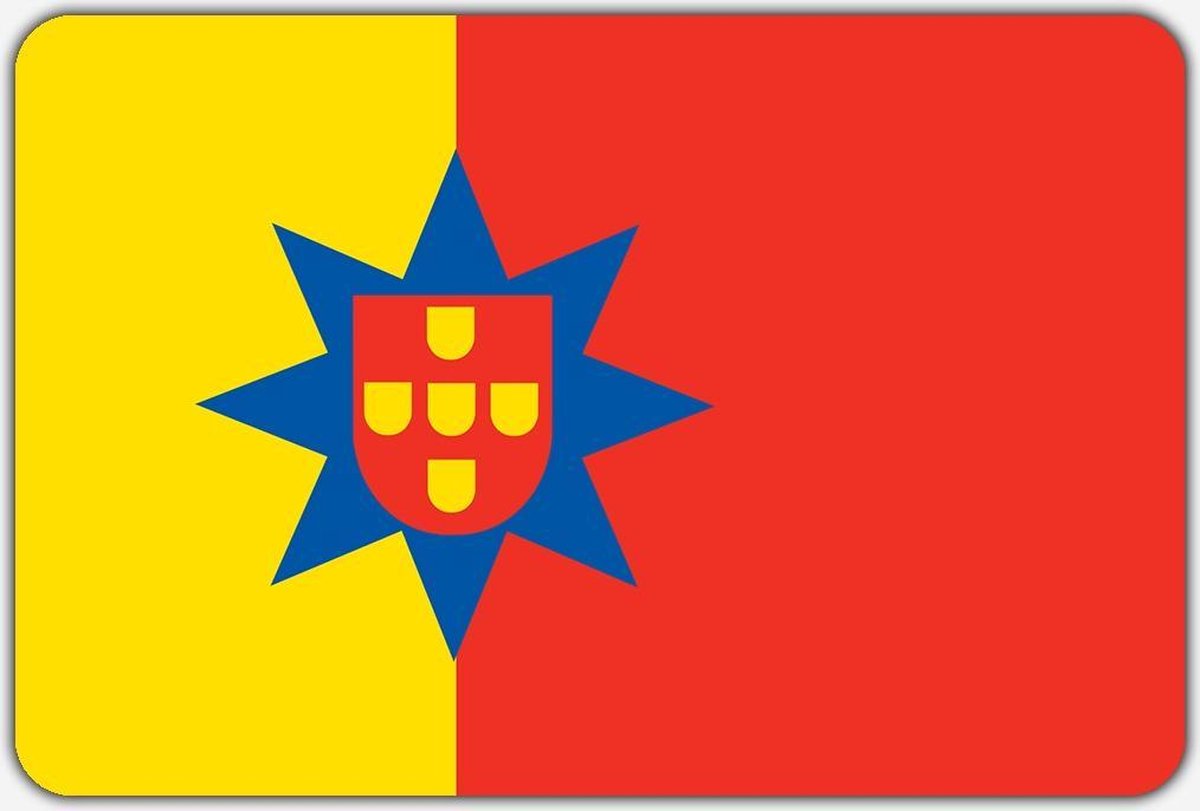 Vlag Poortugaal - 150 x 225 cm - Polyester