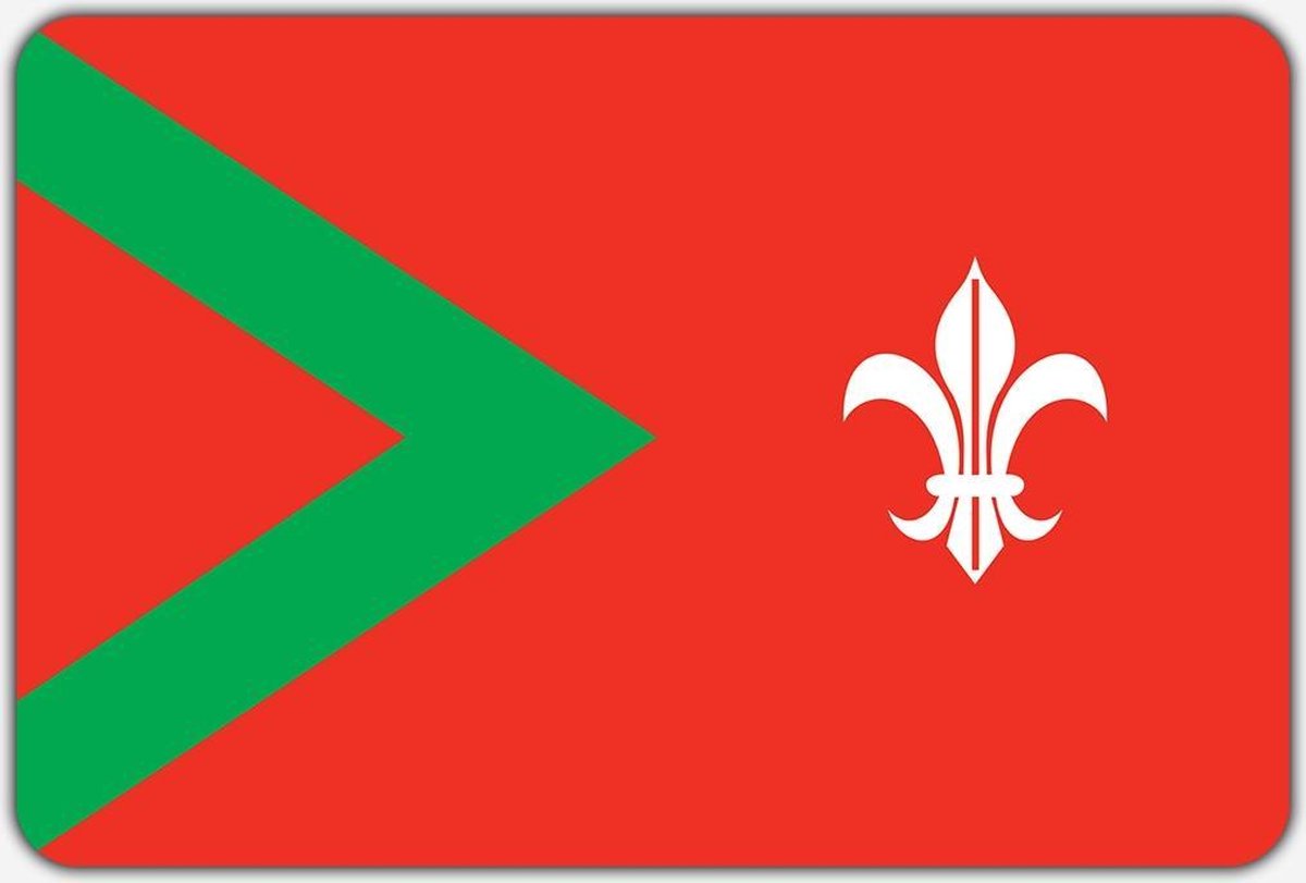 Vlag Rijsbergen - 150 x 225 cm - Polyester