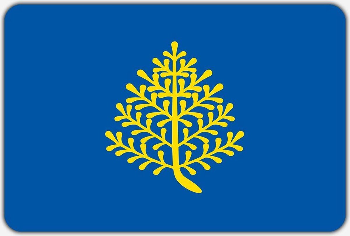 Vlag Rijssen - 200 x 300 cm - Polyester