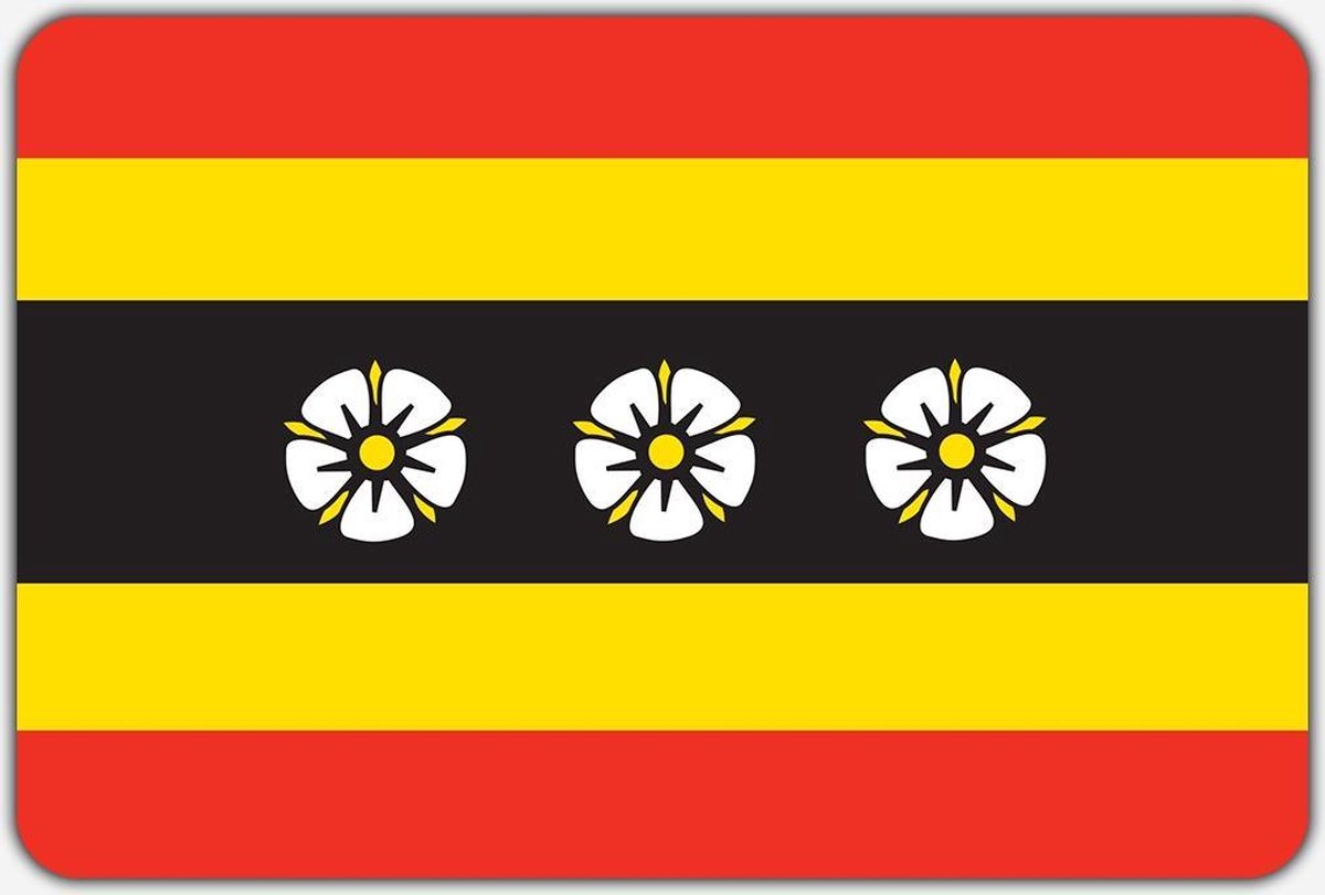 Vlag Ruinen - 70 x 100 cm - Polyester