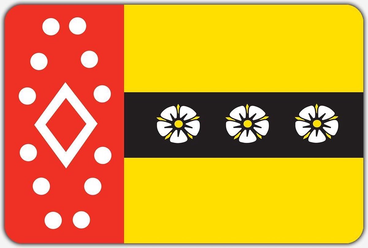 Vlag Ruinerwold - 150 x 225 cm - Polyester