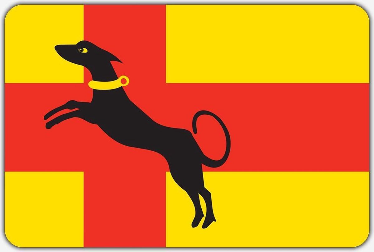 Vlag Ruurlo - 100 x 150 cm - Polyester