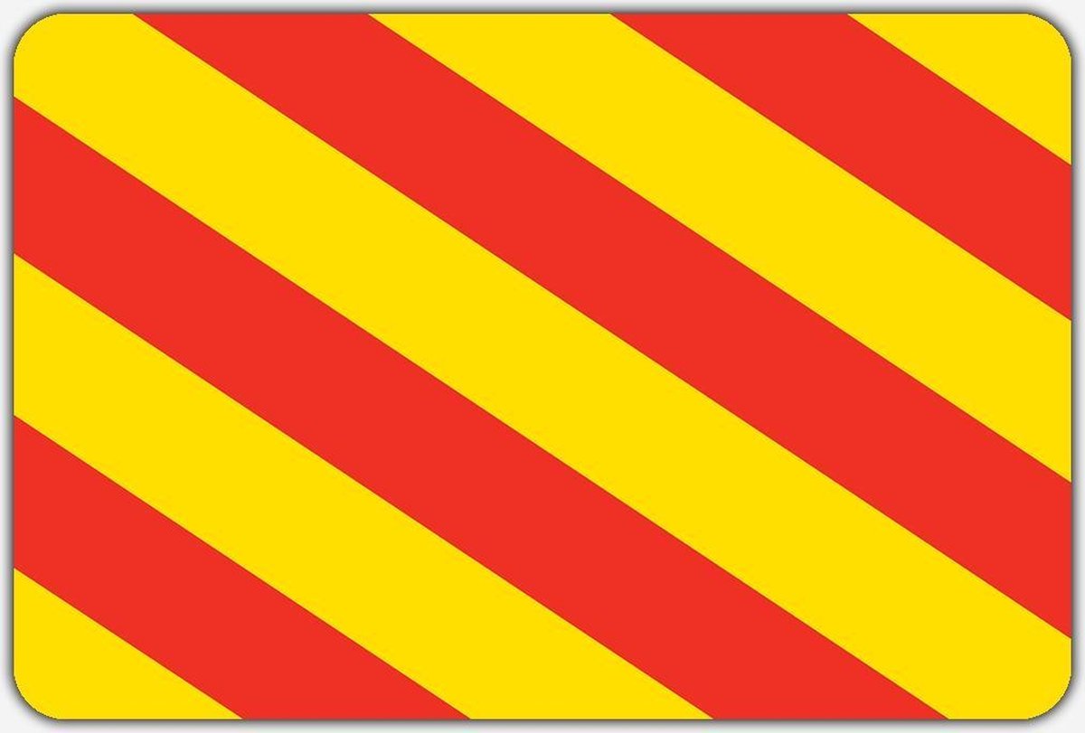 Vlag Sassenheim - 150 x 225 cm - Polyester