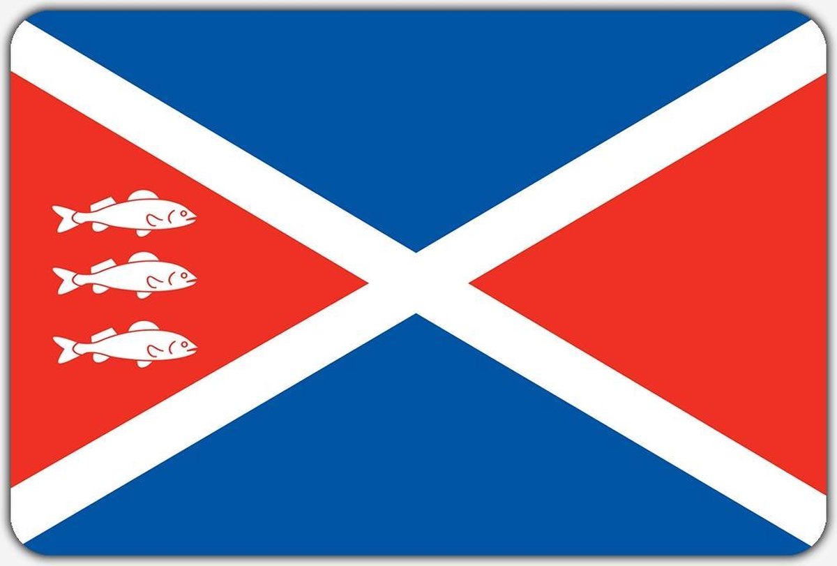 Vlag Spaarndam - 100 x 150 cm - Polyester