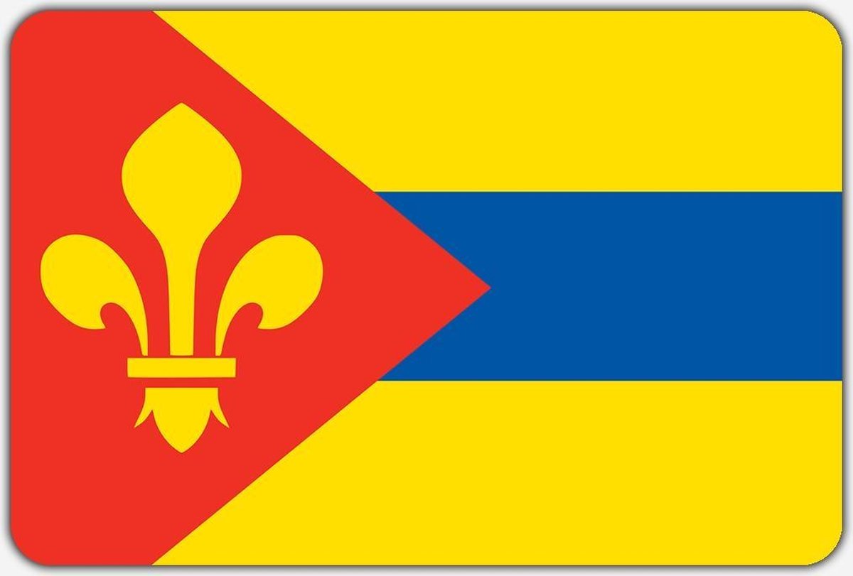 Vlag Surhuizum - 150 x 225 cm - Polyester