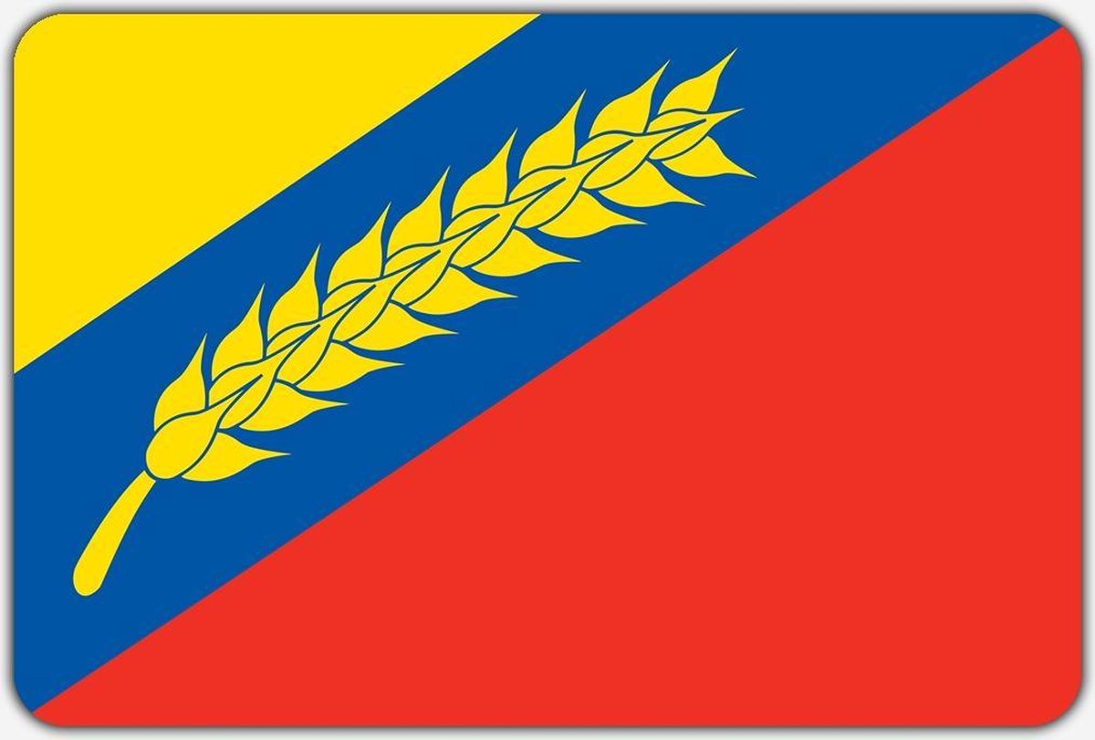 Vlag Tzummarum - 100 x 150 cm - Polyester