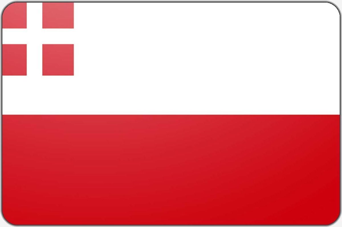 Vlag Utrecht - 100 x 150 cm - Polyester