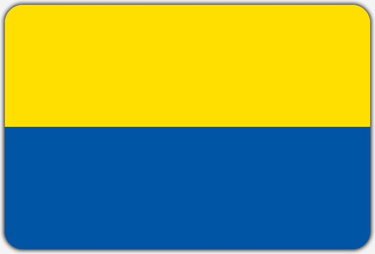 Vlag Vaassen - 100 x 150 cm - Polyester