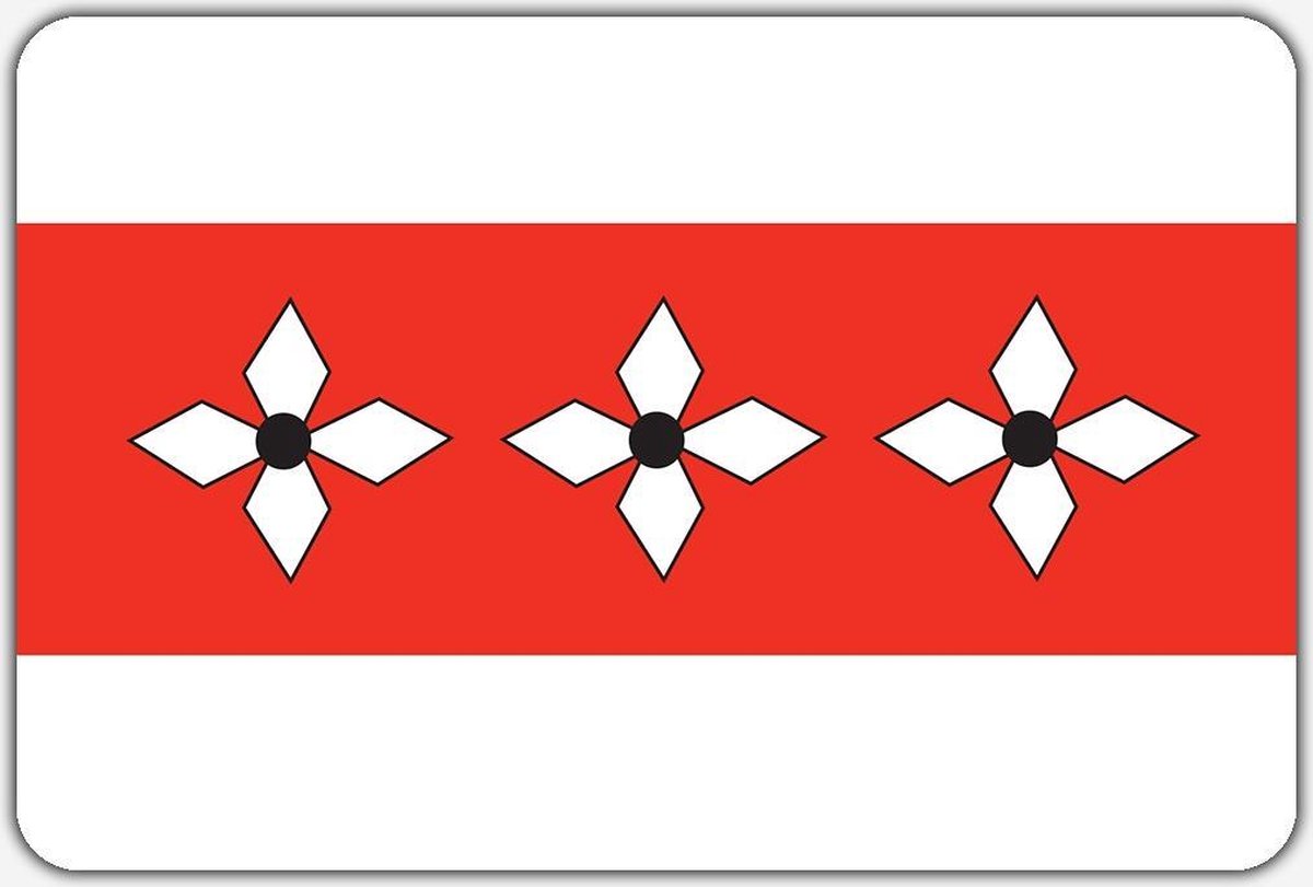 Vlag Vries - 200 x 300 cm - Polyester