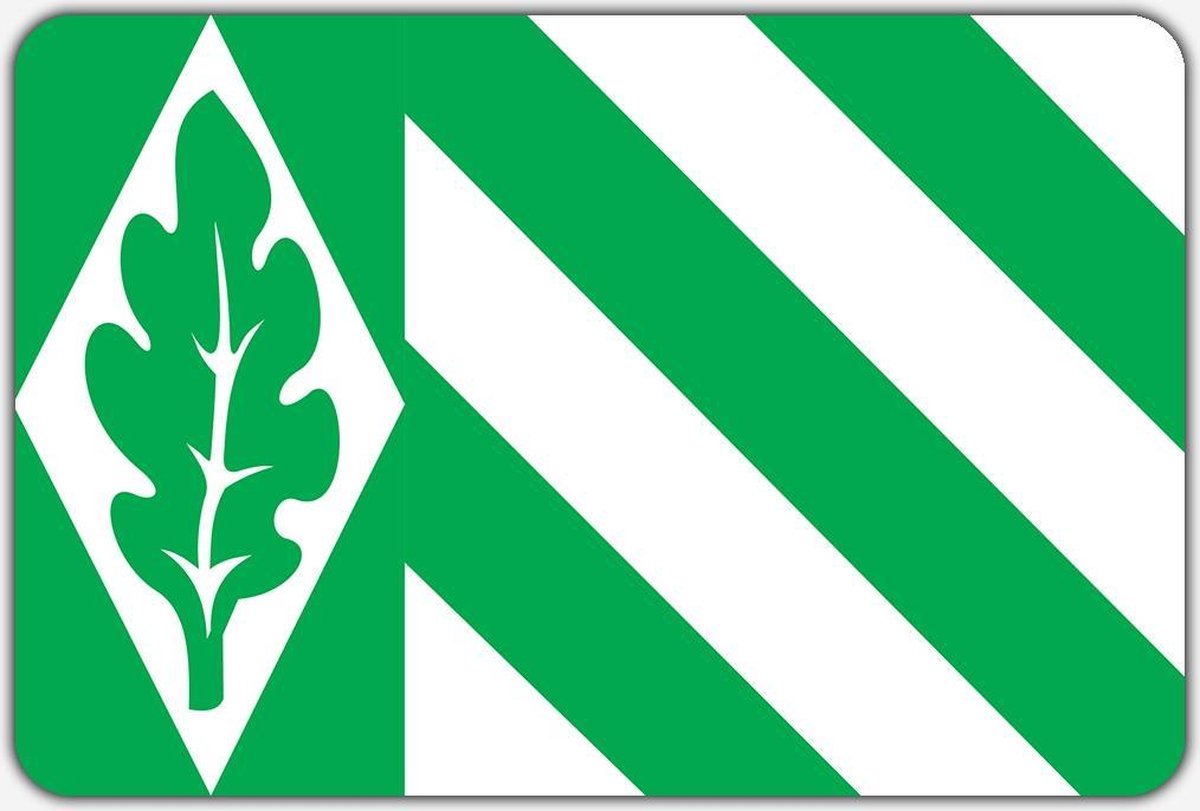 Vlag Vriezenveen - 100 x 150 cm - Polyester