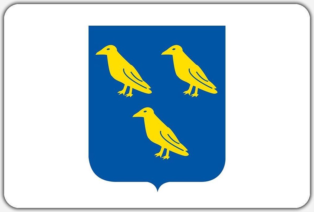 Vlag Waspik - 200 x 300 cm - Polyester