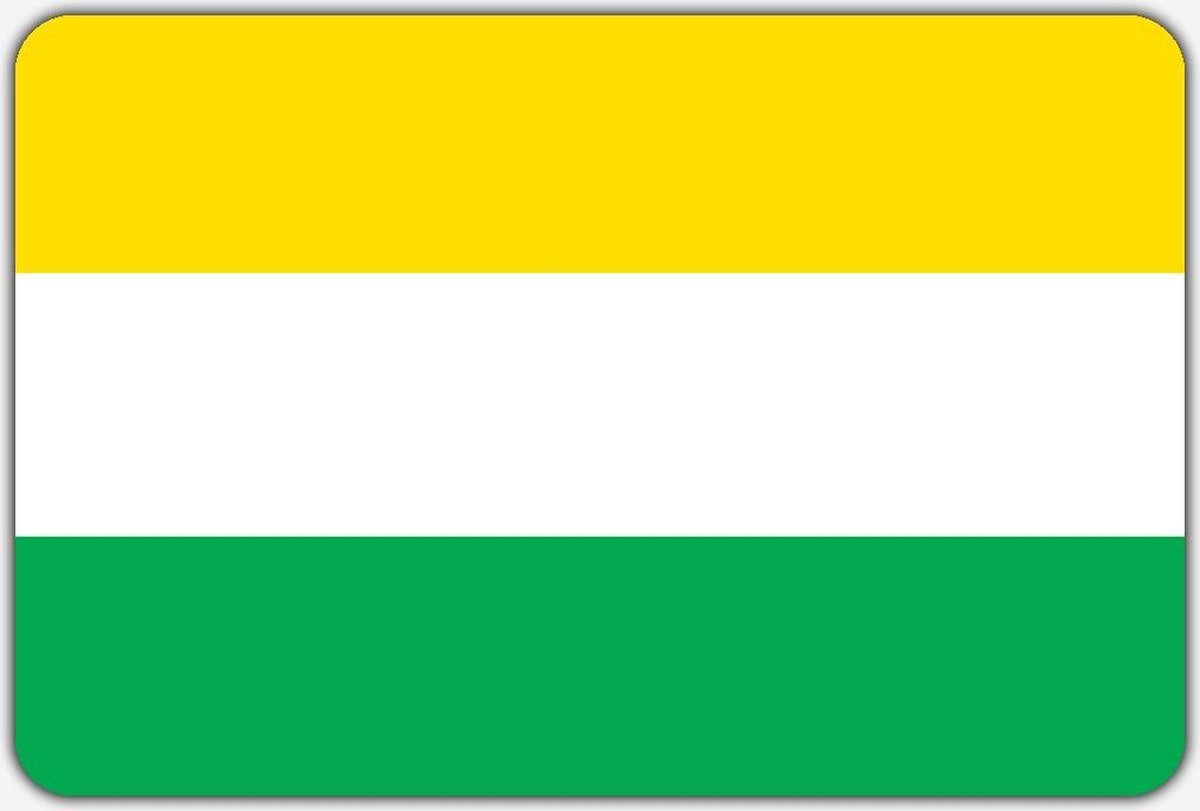 Vlag Wijhe - 200 x 300 cm - Polyester