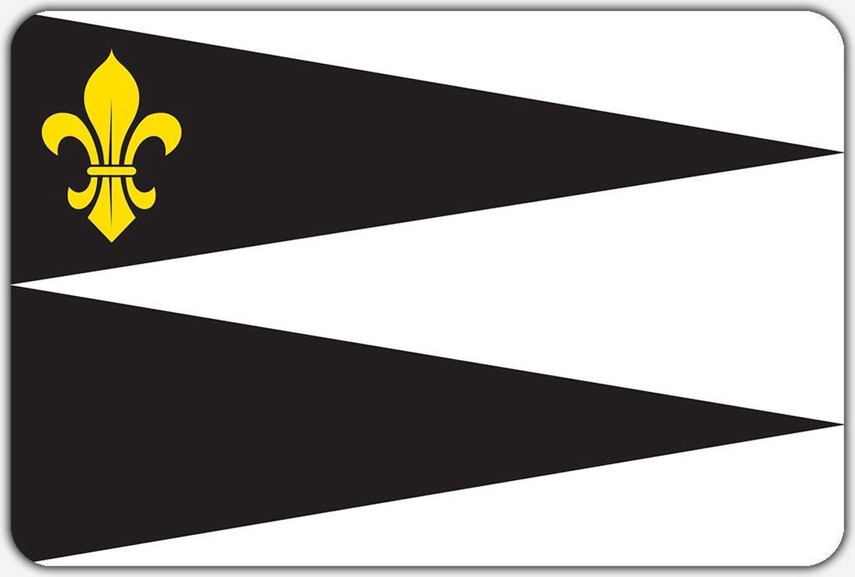 Vlag Woudsend - 200 x 300 cm - Polyester