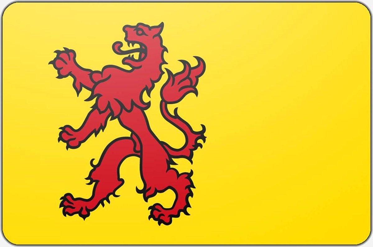 Vlag Zuid-holland - 150 x 225 cm - Polyester