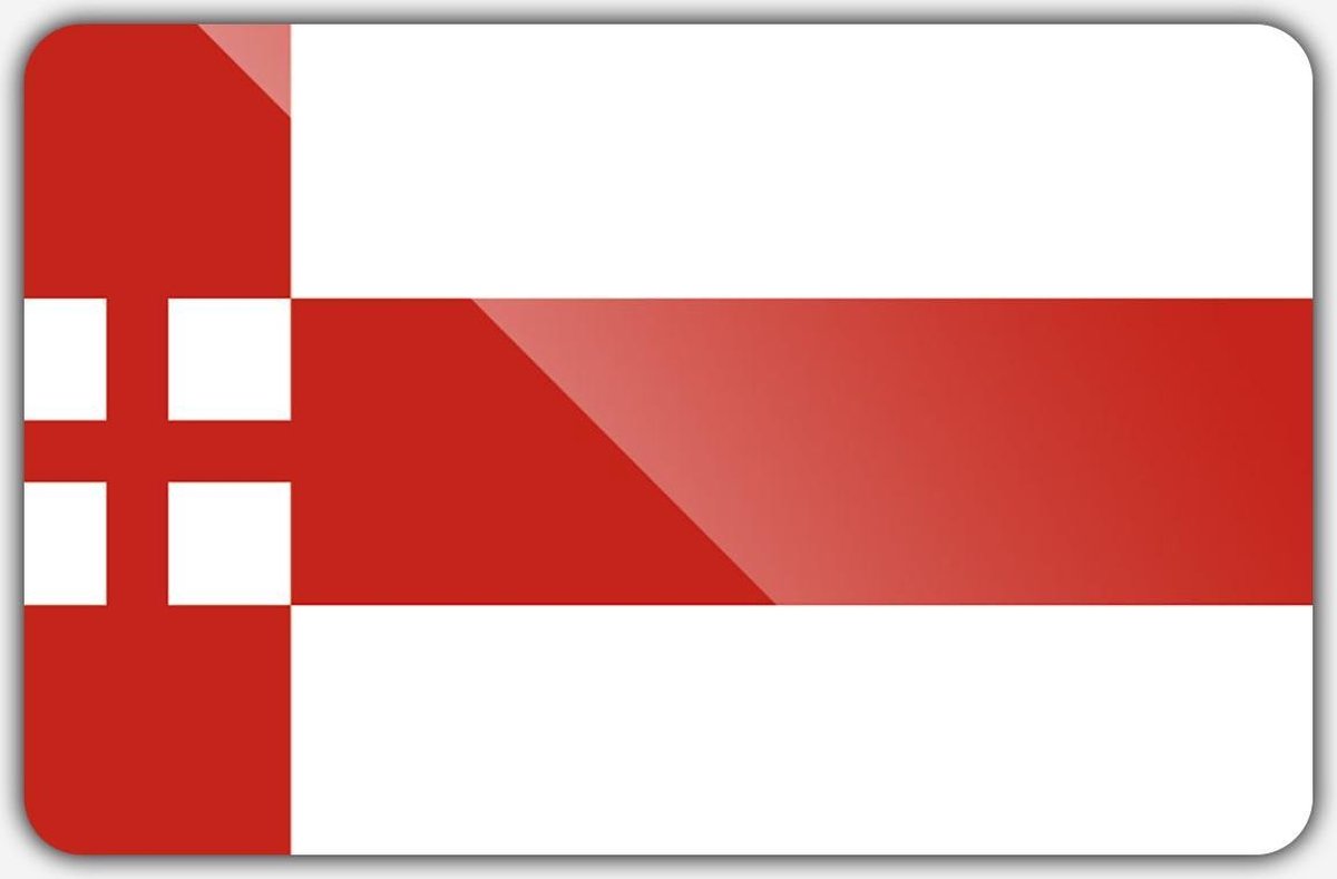 Vlag gemeente Amersfoort - 150 x 225 cm - Polyester