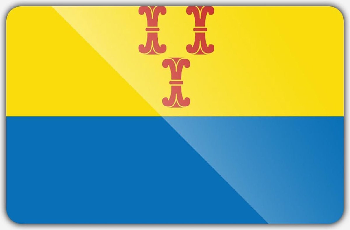 Vlag gemeente Barneveld - 70 x 100 cm - Polyester