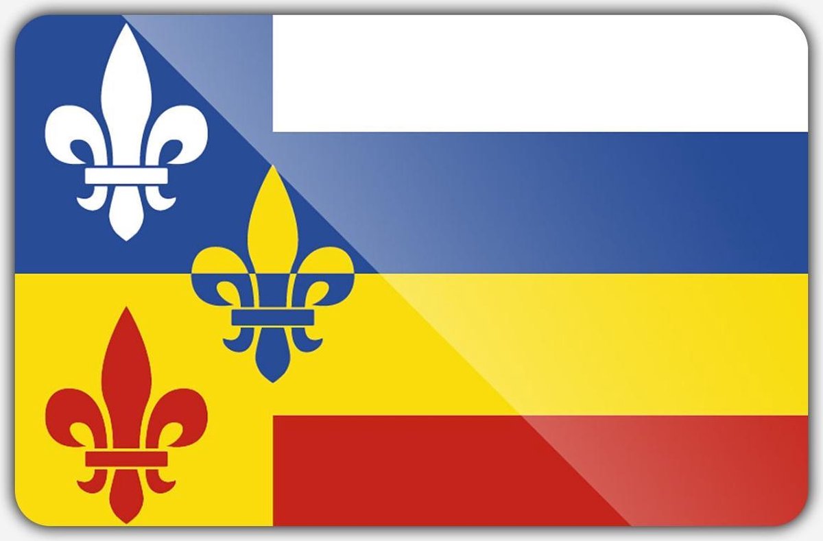 Vlag gemeente Bergeijk - 100 x 150 cm - Polyester