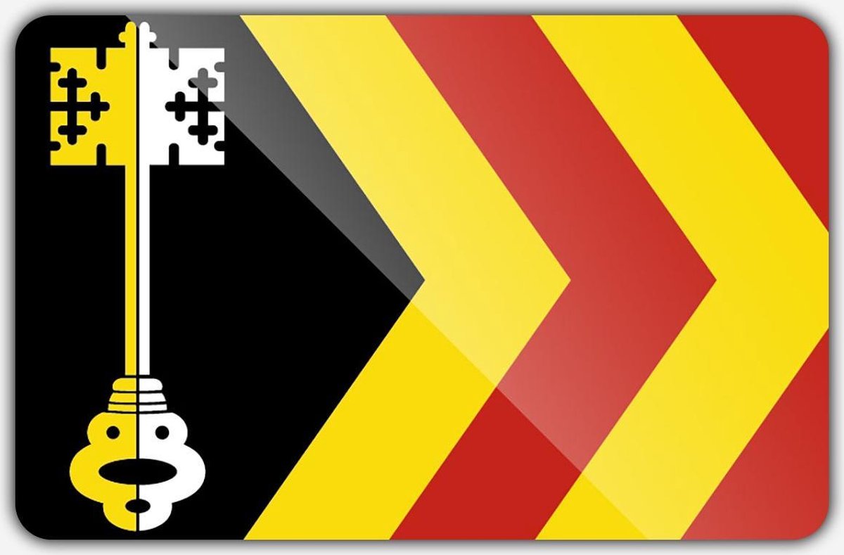 Vlag gemeente Bladel - 70 x 100 cm - Polyester