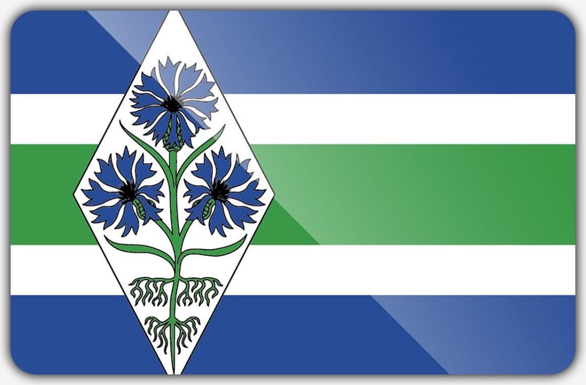 Vlag gemeente Blaricum - 100 x 150 cm - Polyester