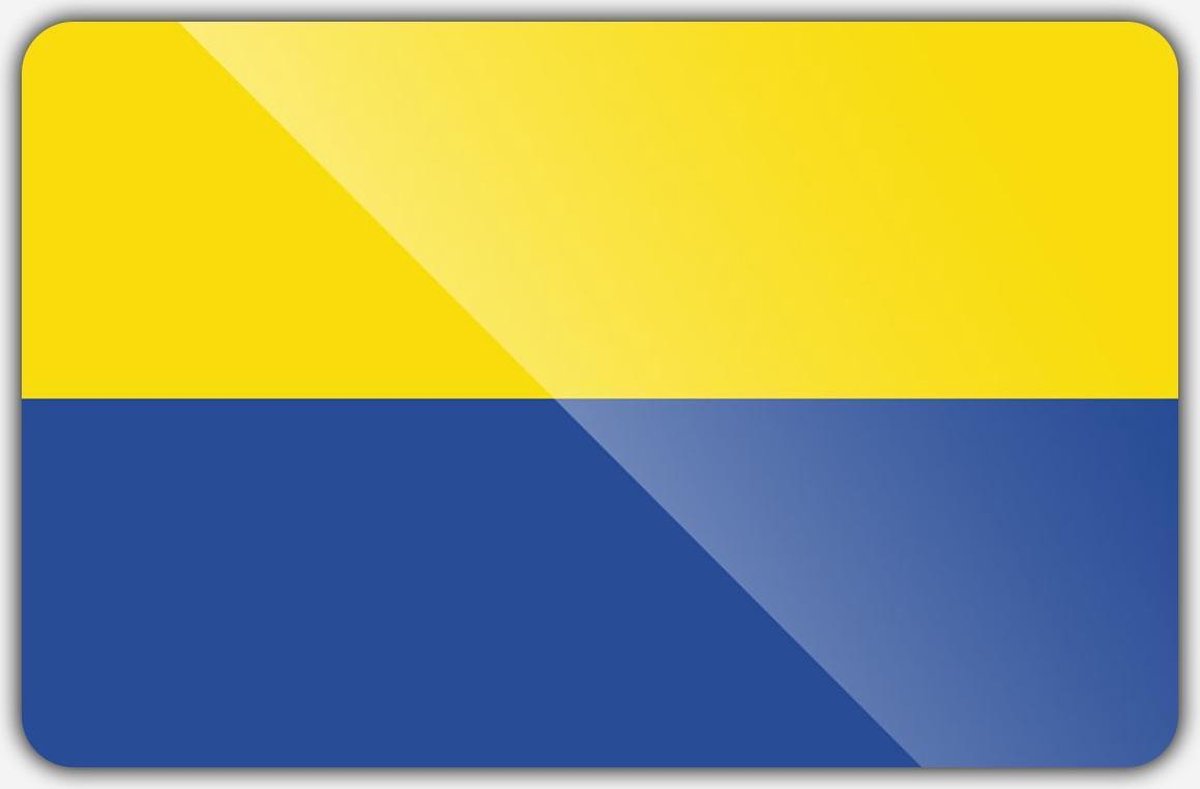 Vlag gemeente Bodegraven-Reeuwijk - 100 x 150 cm - Polyester