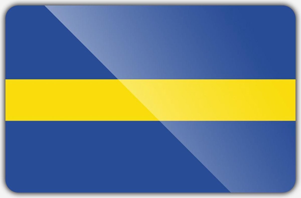 Vlag gemeente Borne - 200 x 300 cm - Polyester