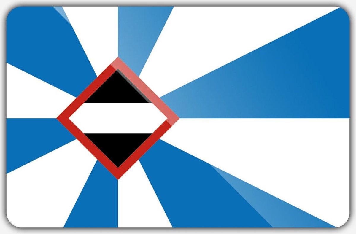 Vlag gemeente Borsele - 70 x 100 cm - Polyester