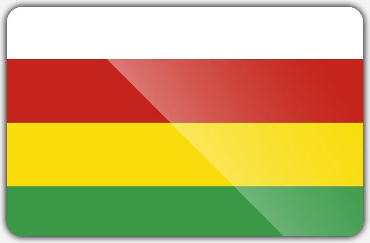 Vlag gemeente Dantumadiel - 70 x 100 cm - Polyester