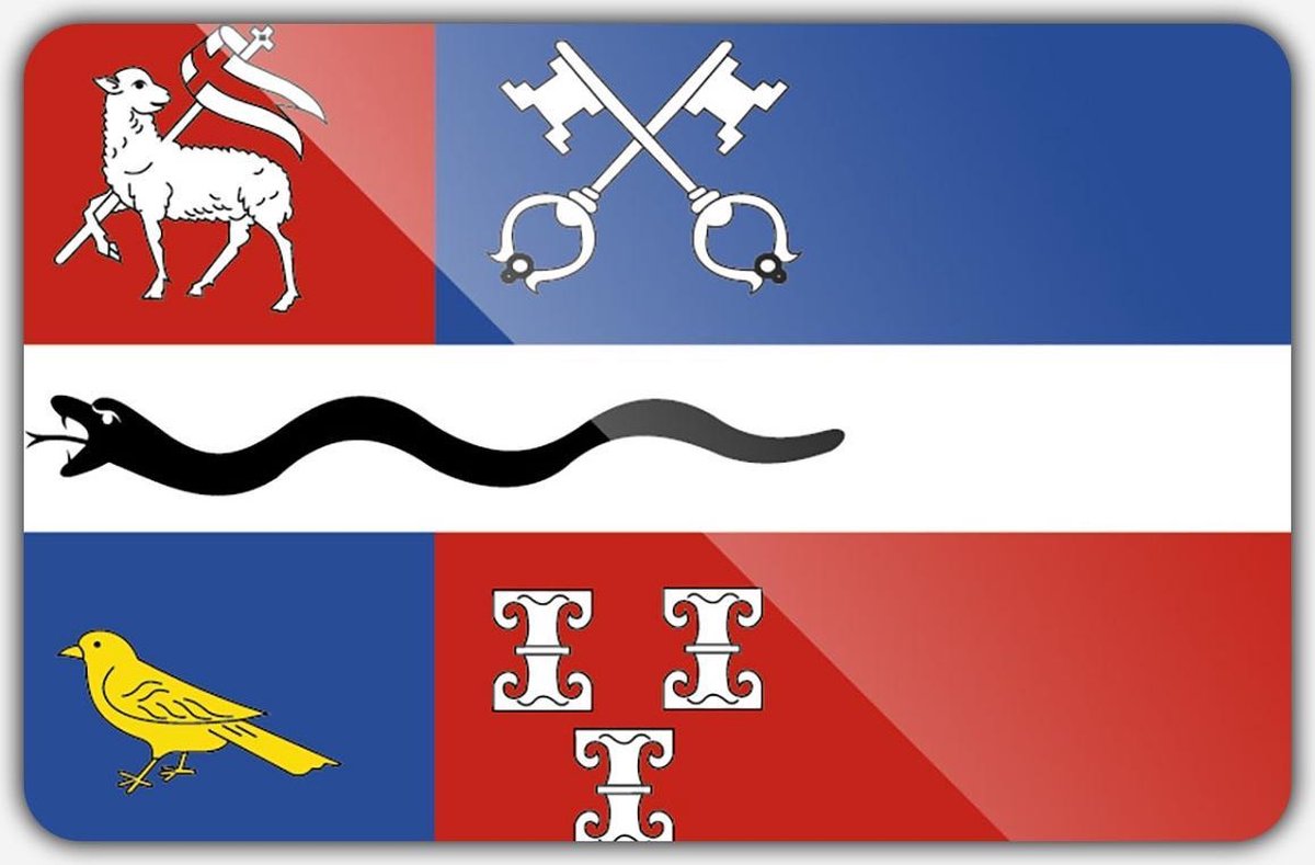 Vlag gemeente De Ronde Venen - 150 x 225 cm - Polyester