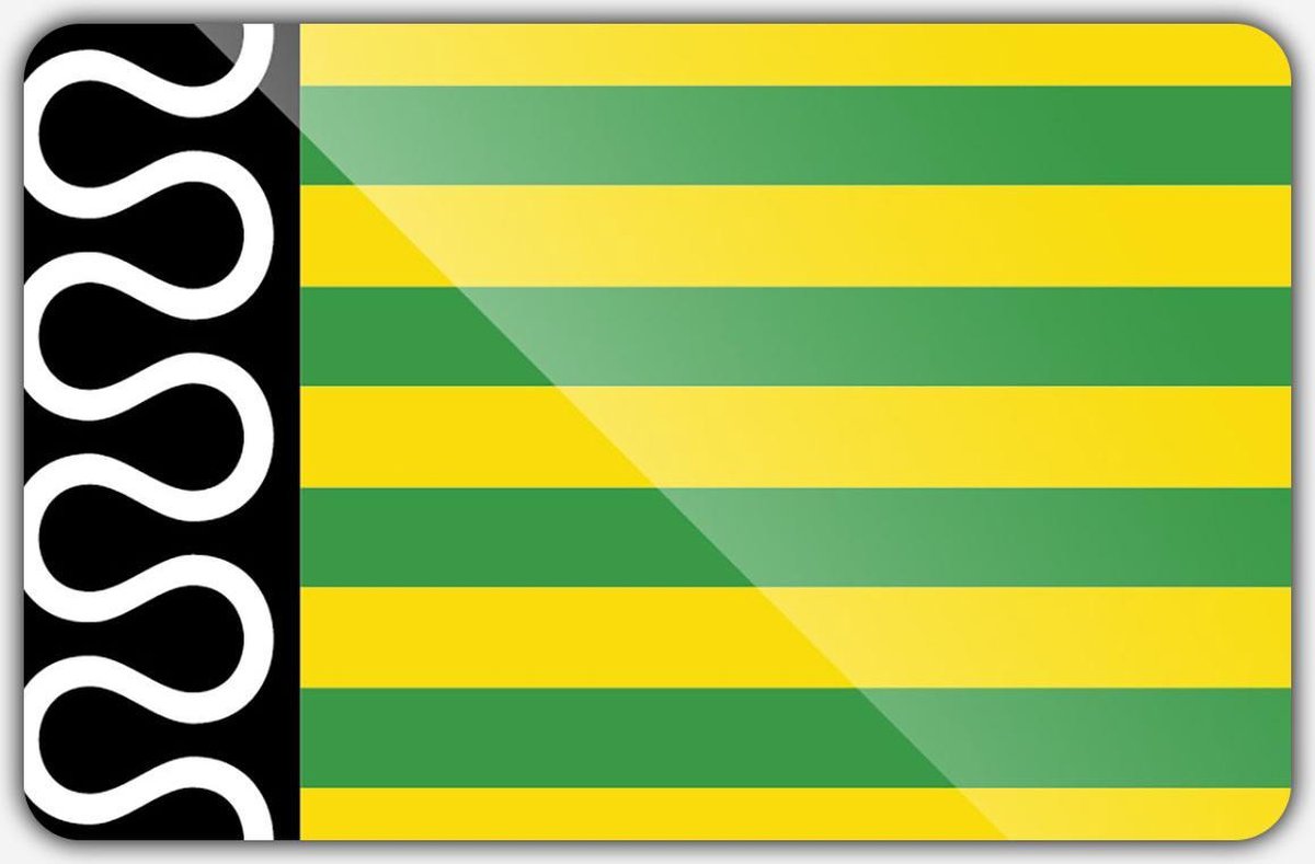 Vlag gemeente De Wolden - 70 x 100 cm - Polyester