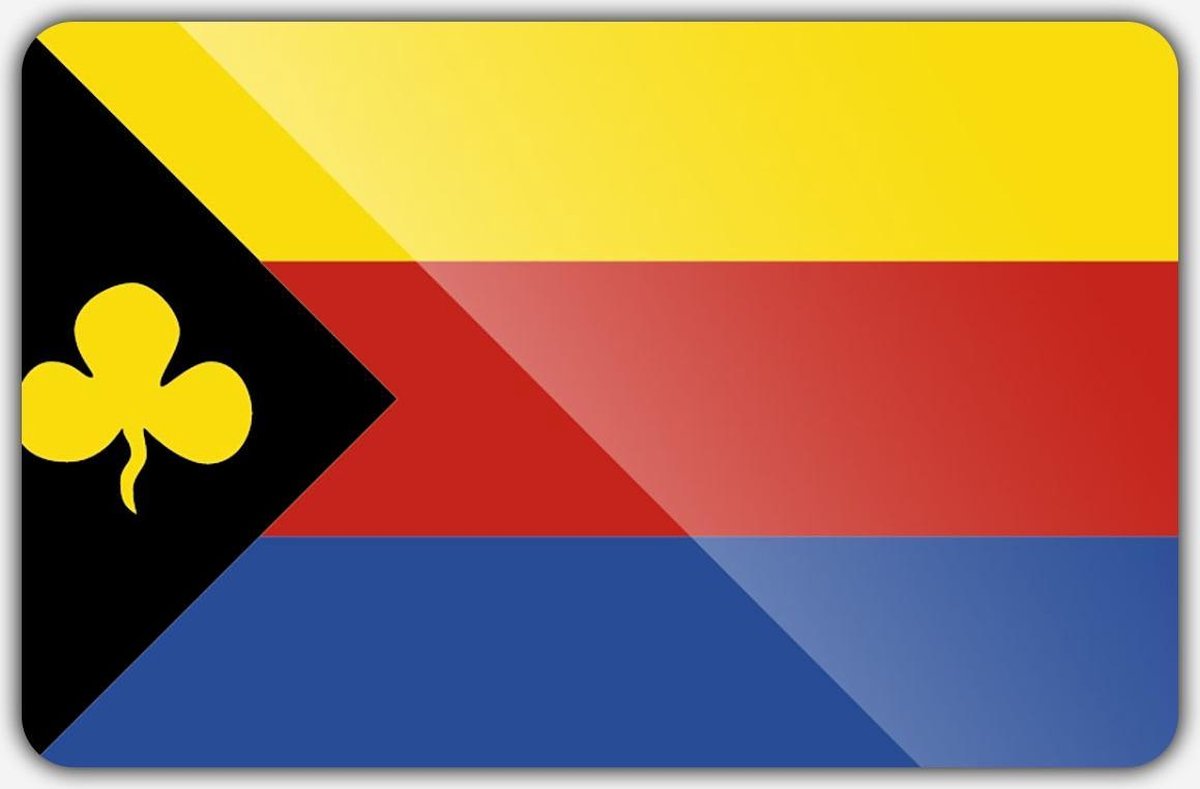 Vlag gemeente Delfzijl - 200 x 300 cm - Polyester