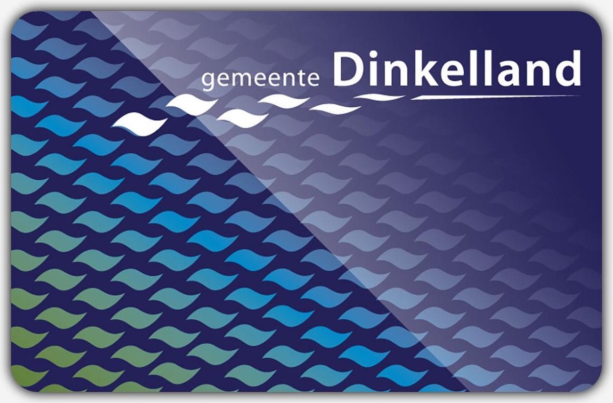 Vlag gemeente Dinkelland - 100 x 150 cm - Polyester