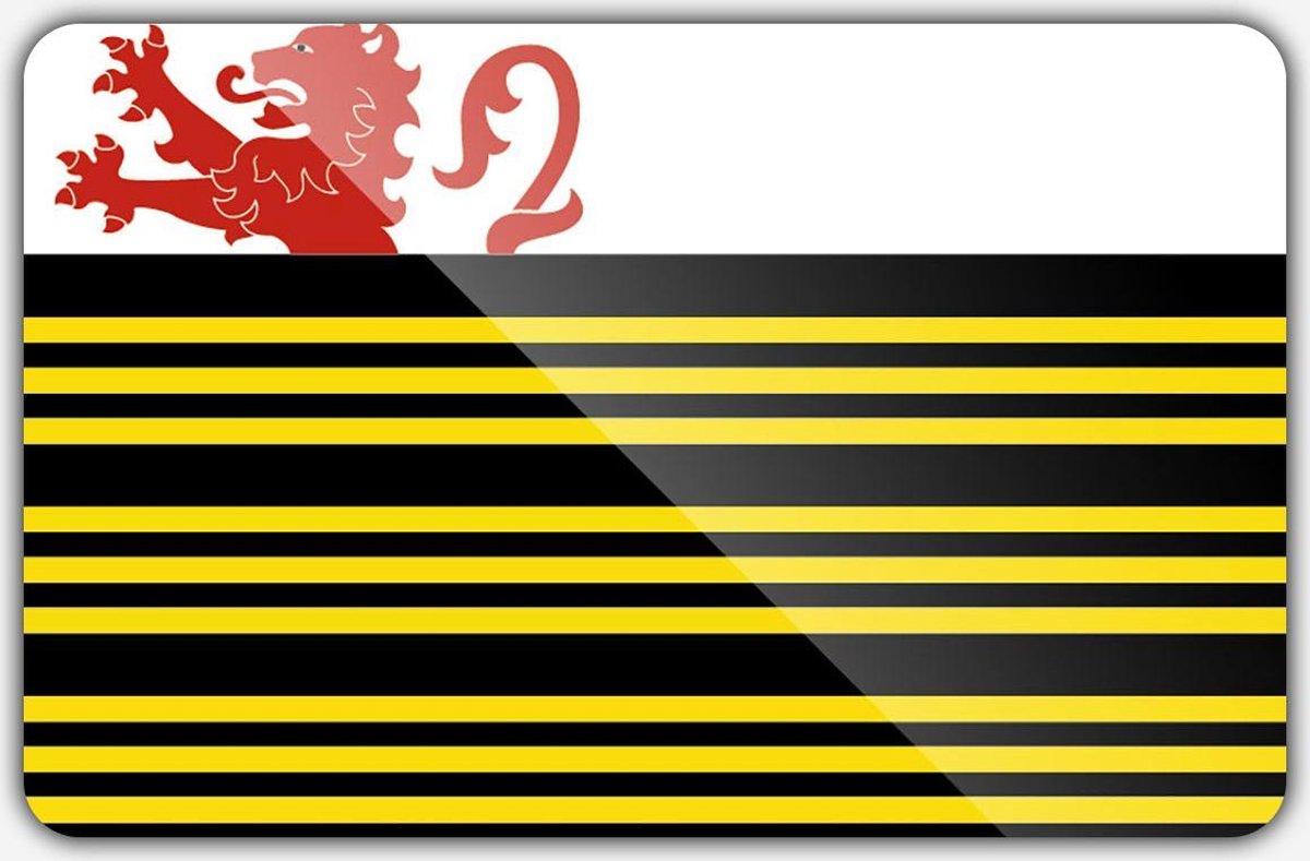 Vlag gemeente Eersel - 150 x 225 cm - Polyester